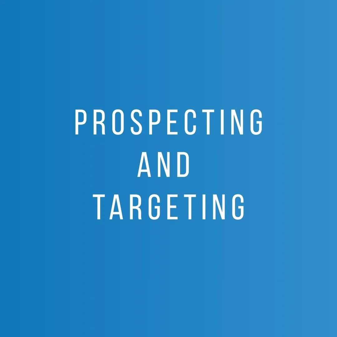 Salient Sales - Module 3